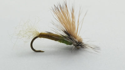 E/C Caddis Cutter