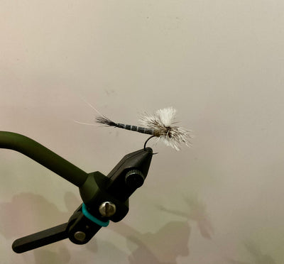 Reed’s Ex-Spinner Drake