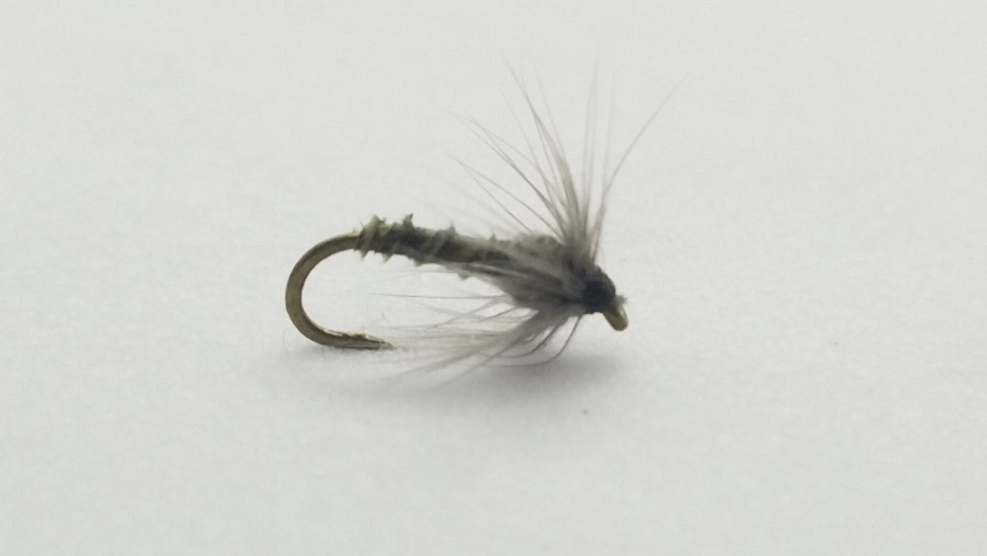 Biot Mayfly Emerger BWO