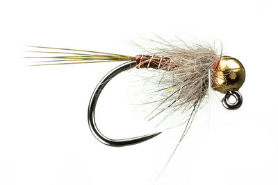 Allen’s Thunder Bug