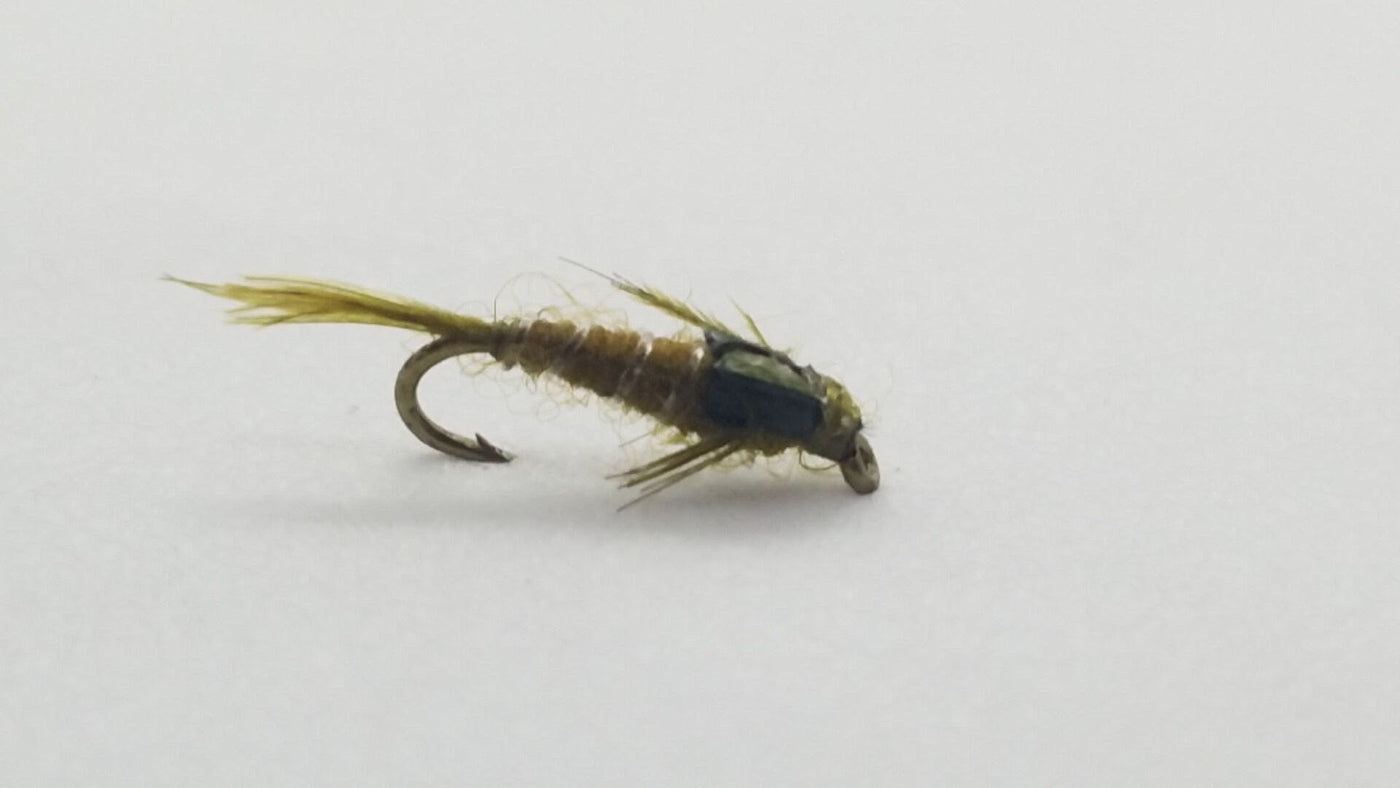 Split Case BWO