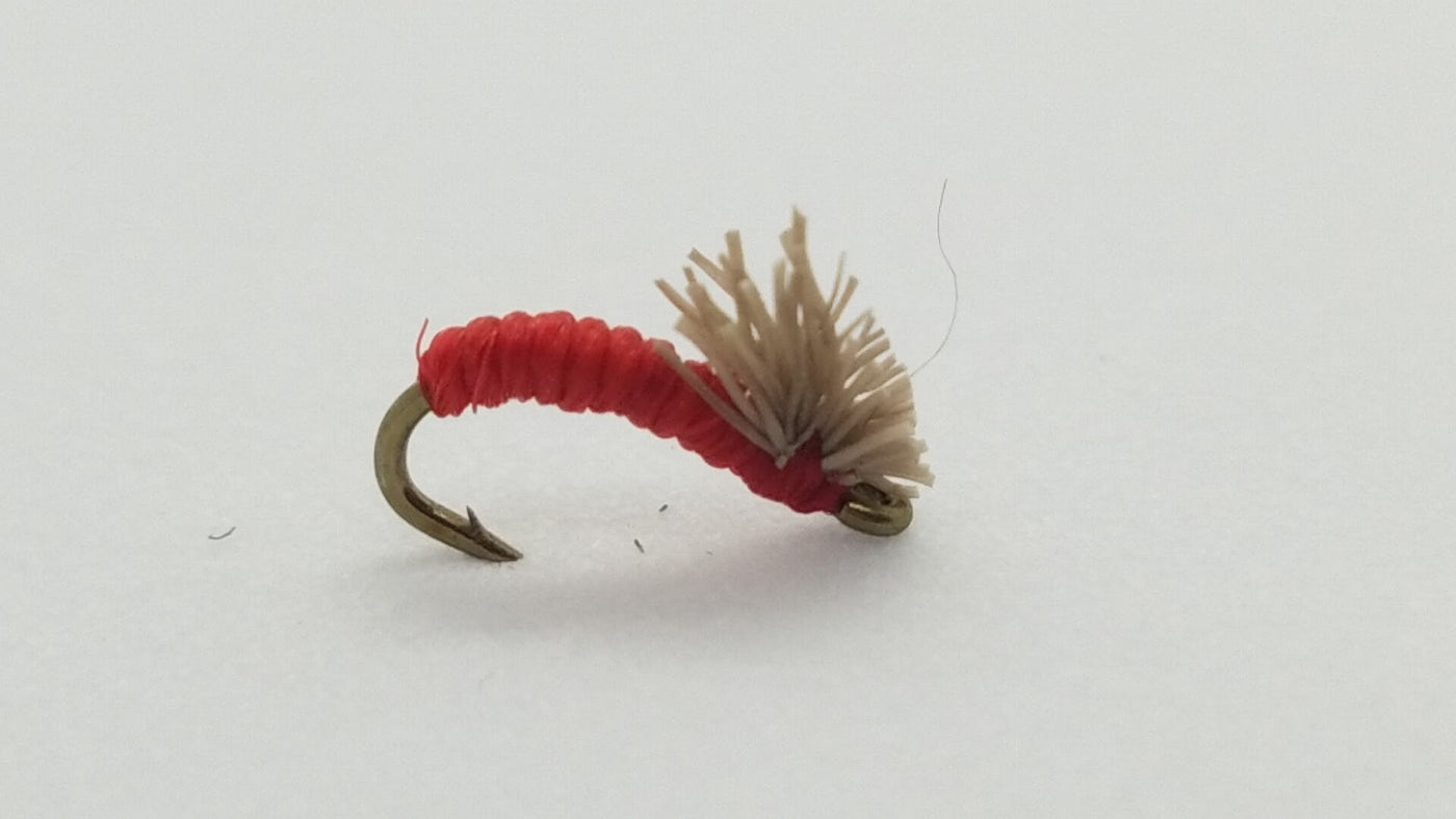 Matthew’s Serendipity Red