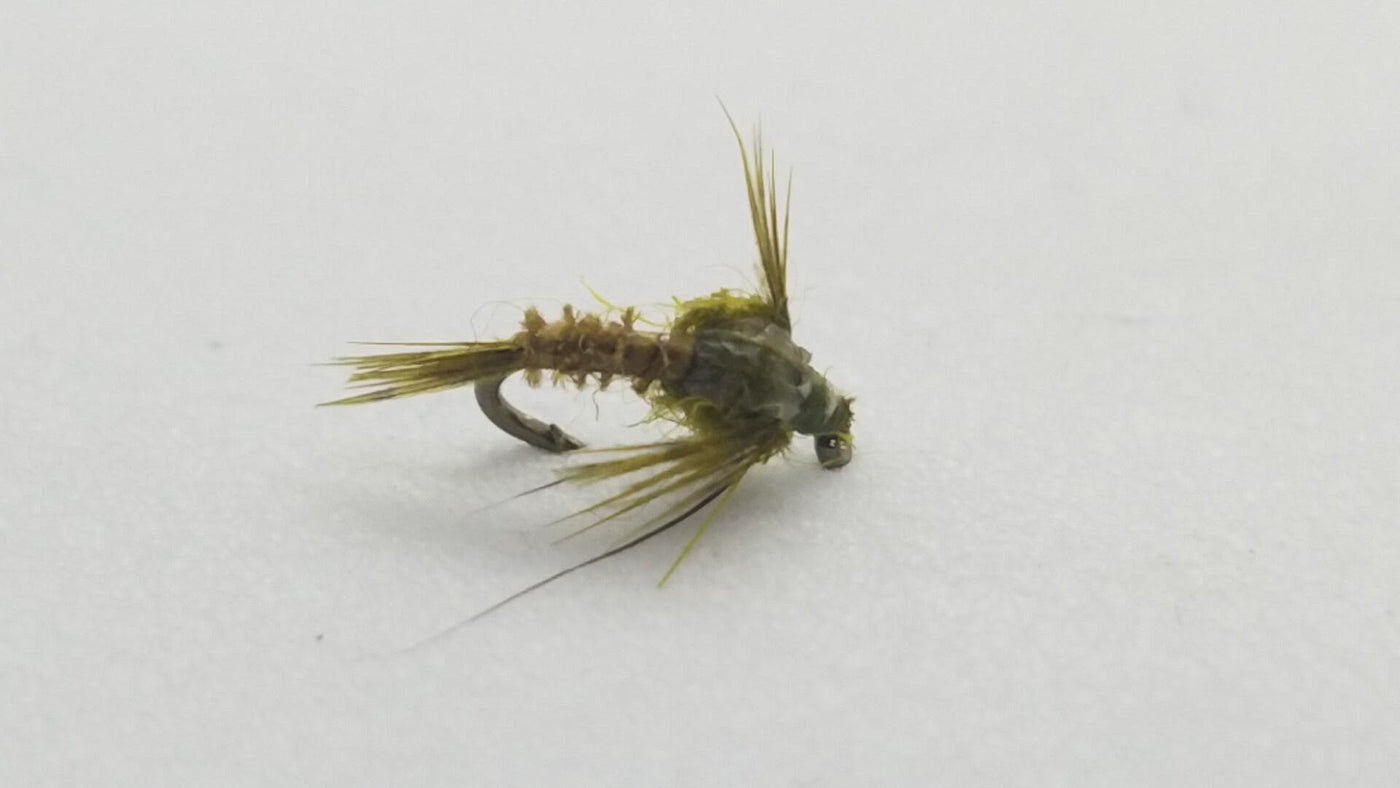 Thorax BWO Emerger