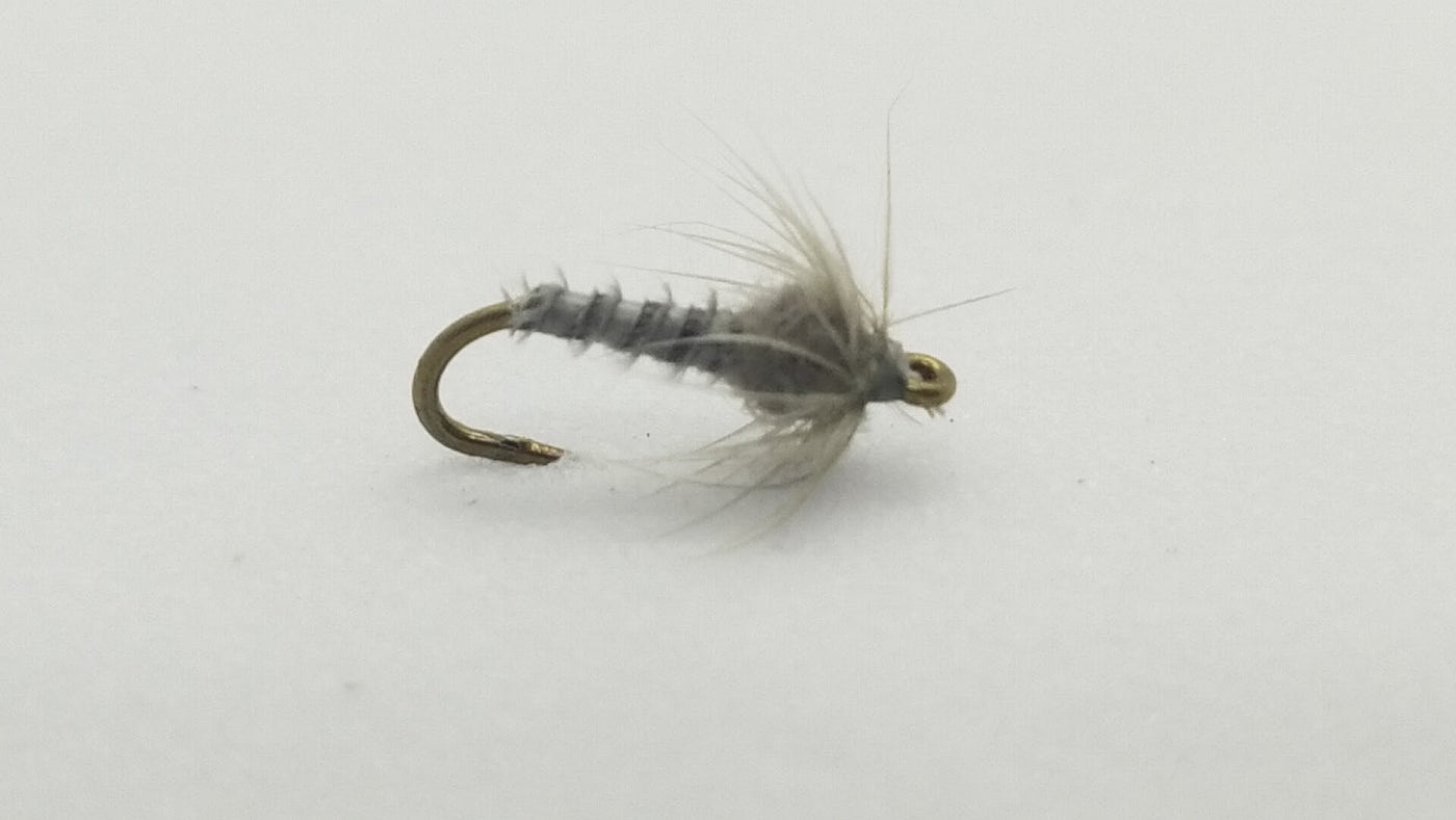 Midge Biot Size 22