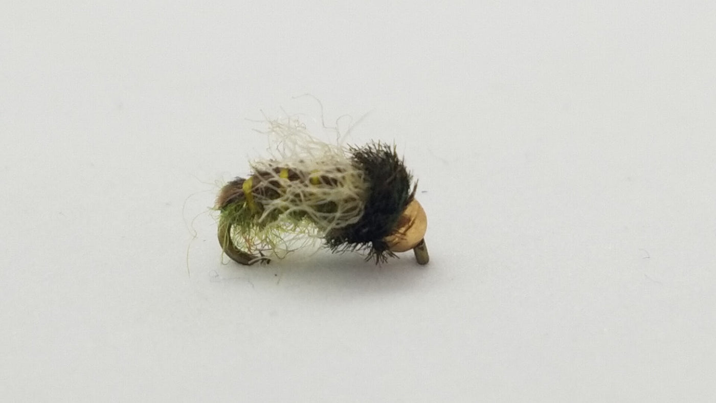 Tungsten Z Wing Caddis, Olive, Sz 16