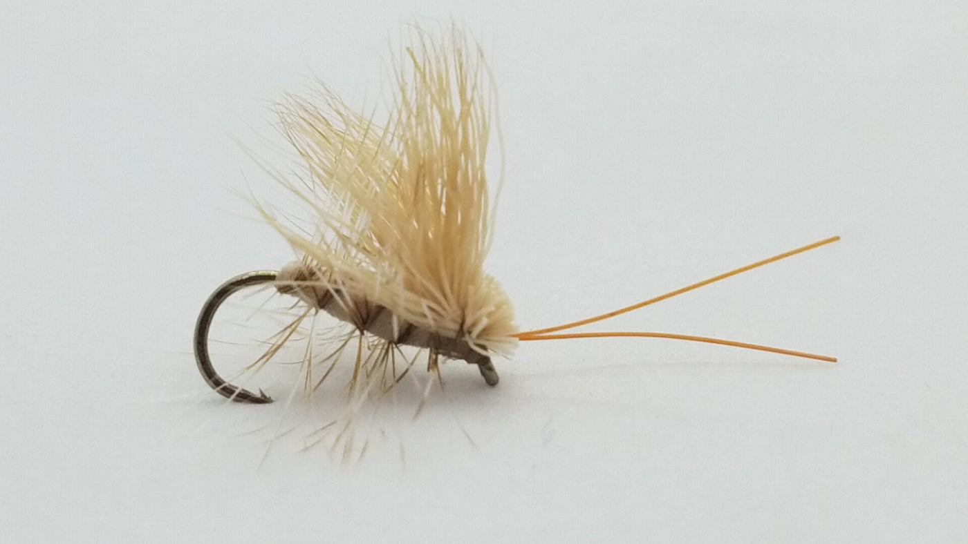 Rainy’s Caddis