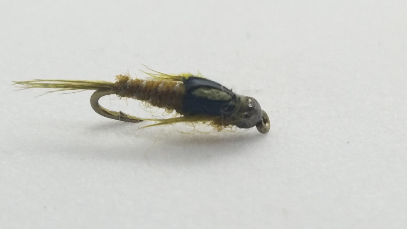 Tungsten Split Case BWO