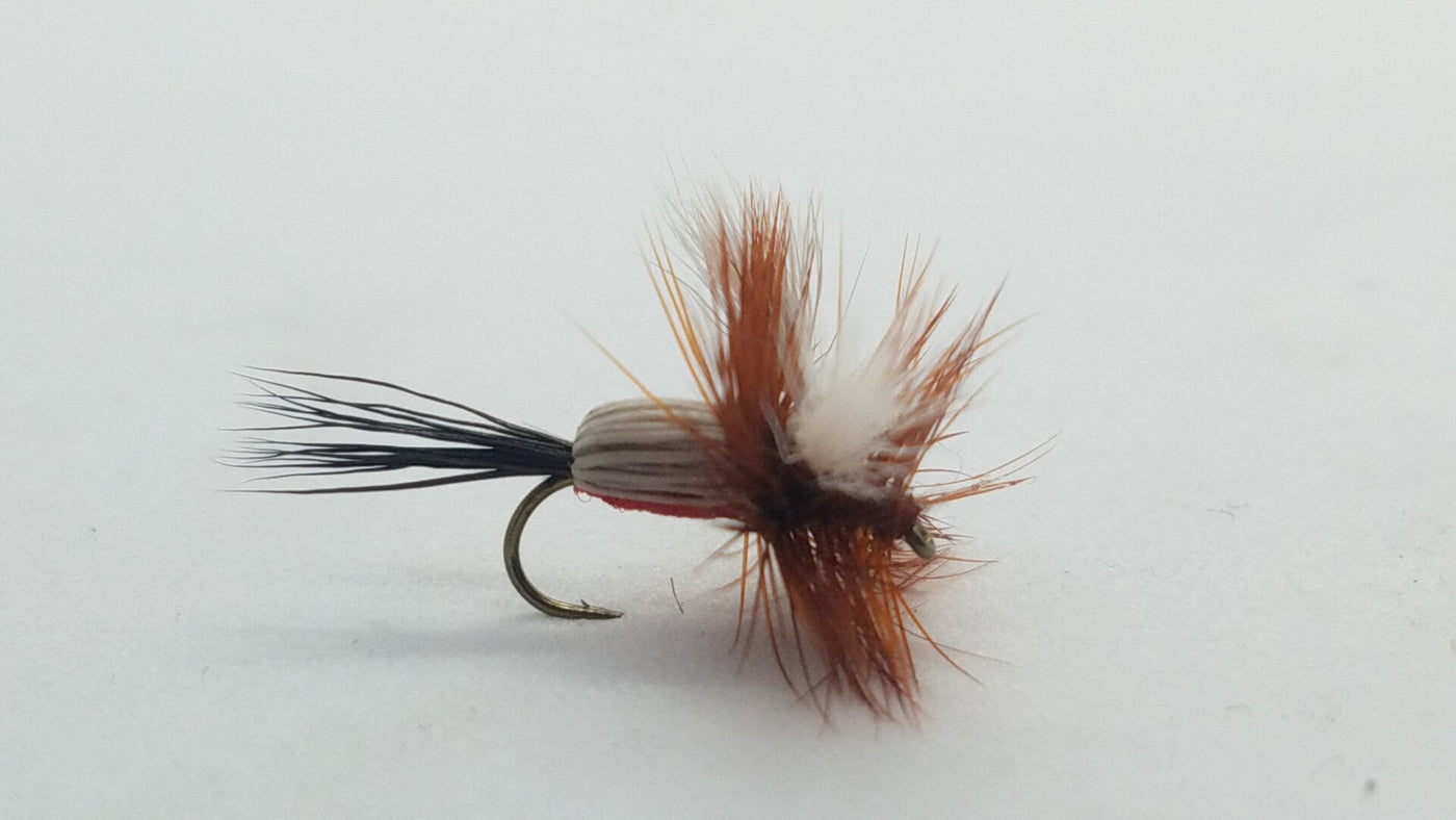 Royal Humpy