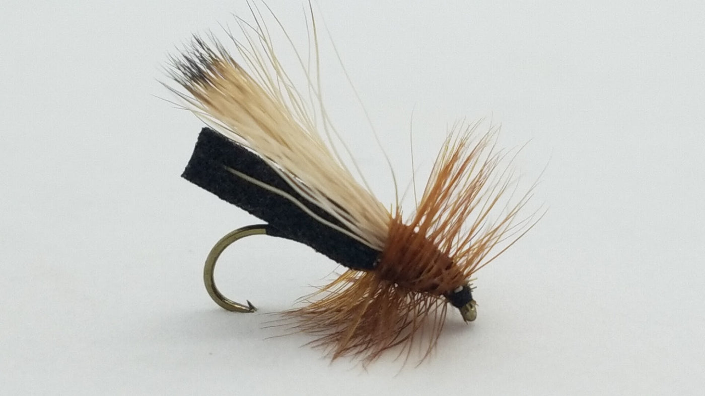 Black Foam Caddis