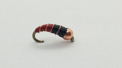 Zebra Midge