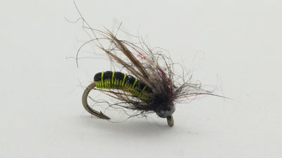 Moorish Hotwire Caddis