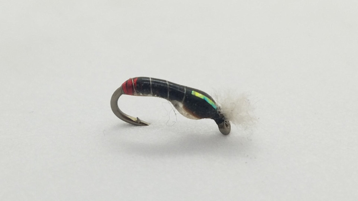 Rowley’s Clearwater Pupa