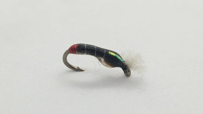 Rowley’s Clearwater Pupa