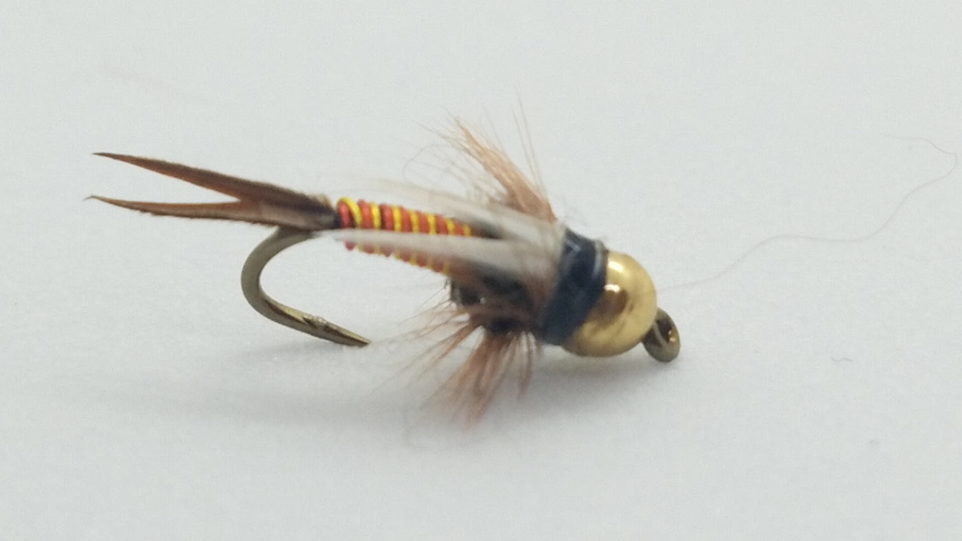 Tungsten Hot-Wired Prince, Sz 16