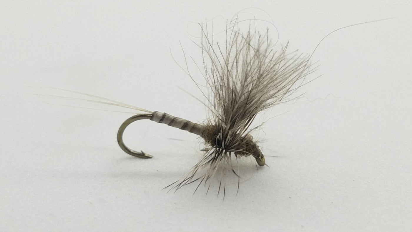 CDC Thorax Callibaetis Size 14