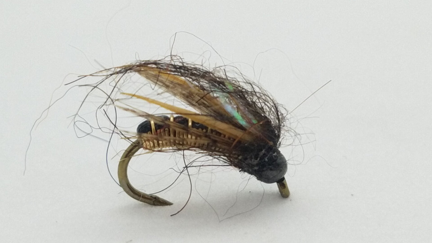 Moorish Hotwire Caddis