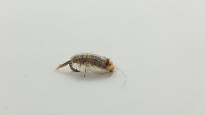 Bead Head Scud