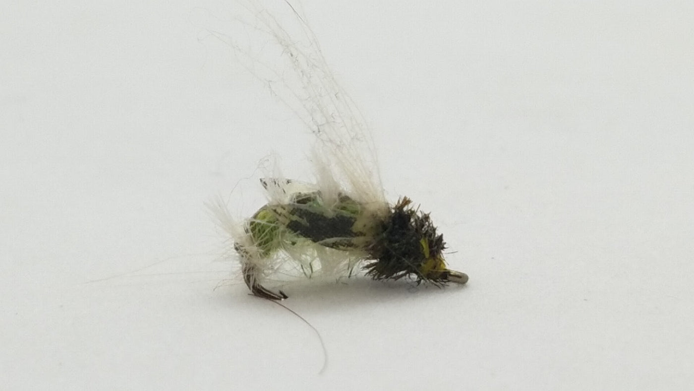 Thin Skin Caddis Larva, Sz 14