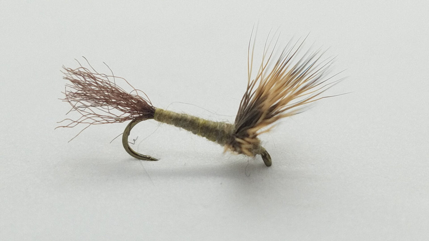 Sparkle Dun Callibaetis