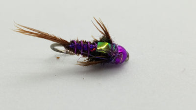Brillion’s Lucent Pheasant Tail