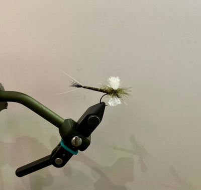 Reed’s Ex-Spinner Drake