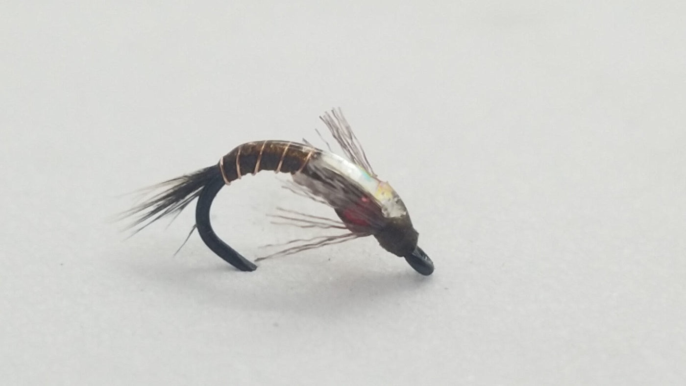 Shotglass Baetis