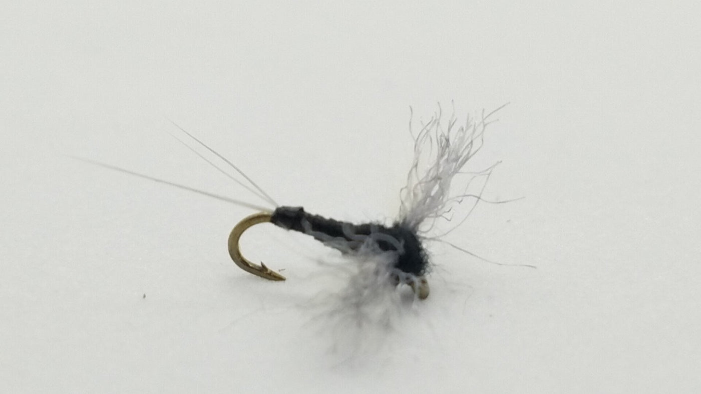 CDC Biot Trico Spinner