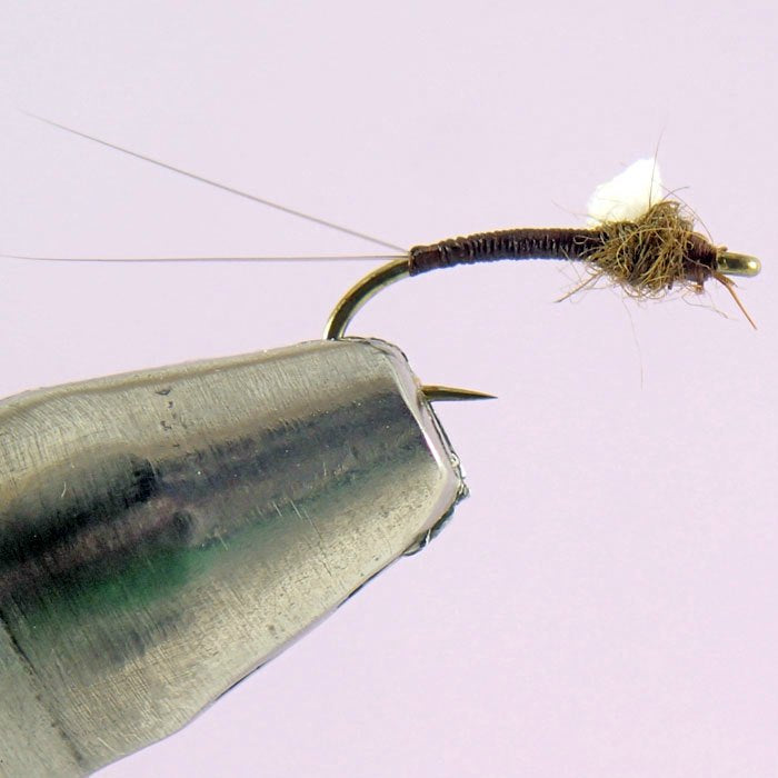 Foam Wing Emerger