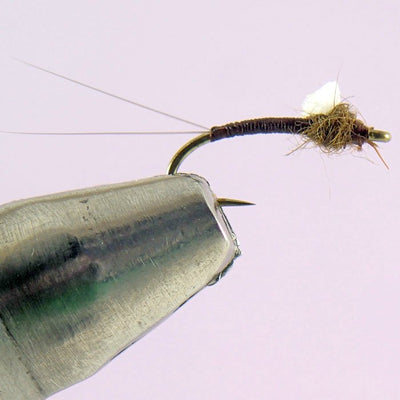 Foam Wing Emerger