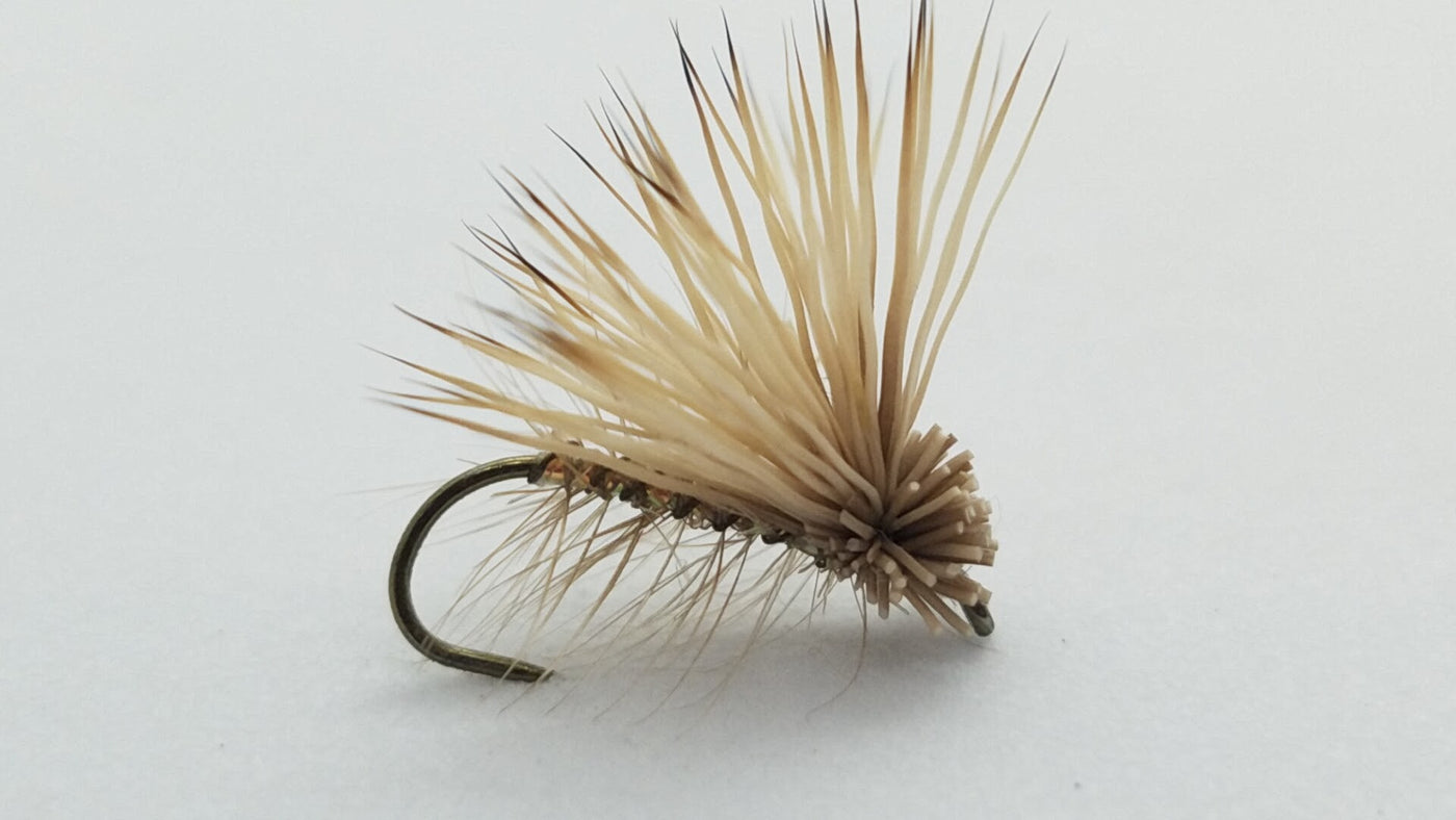 Elk Hair Caddis