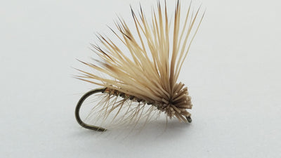 Elk Hair Caddis