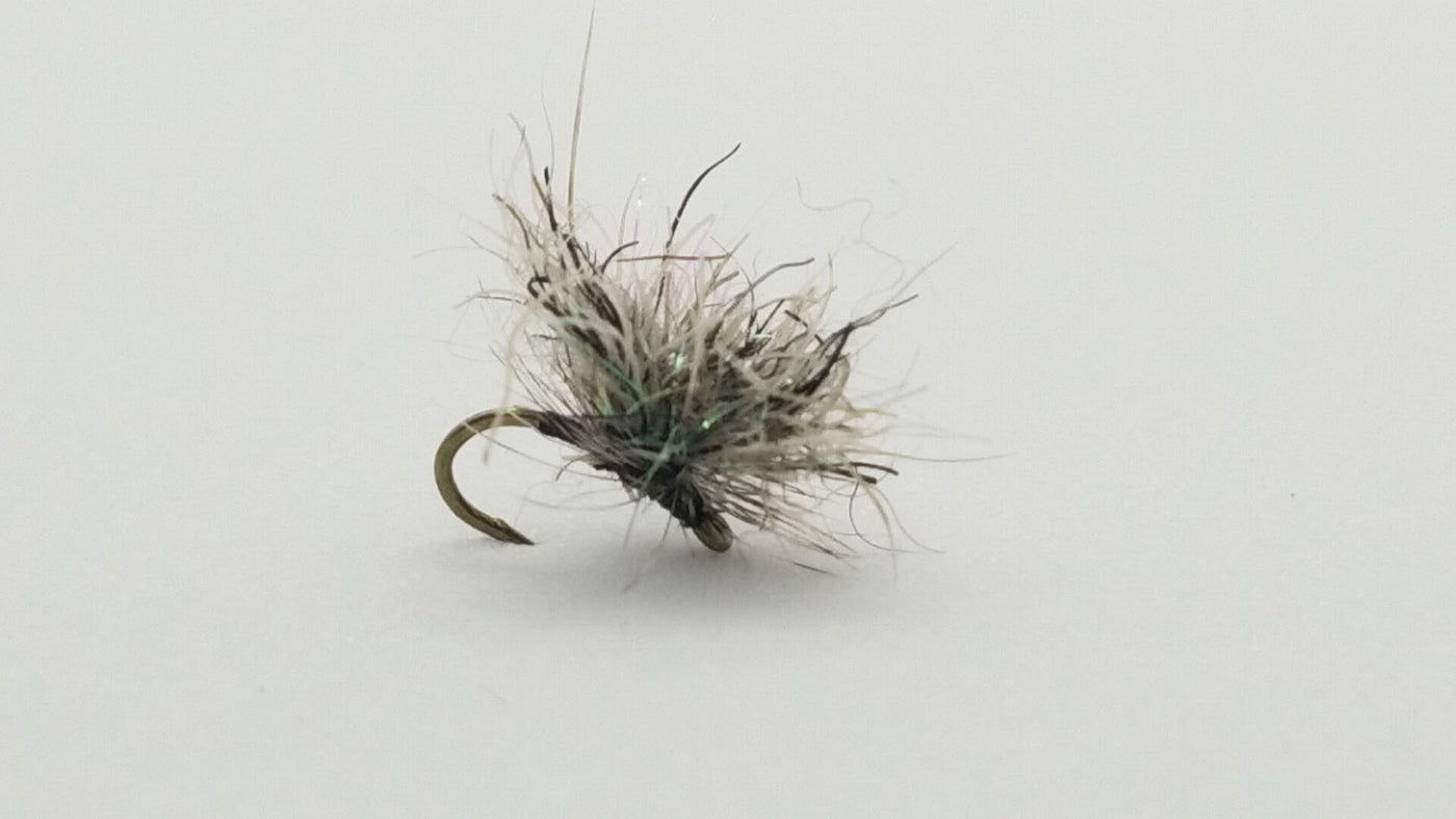 SnowShoe Midge Cluster