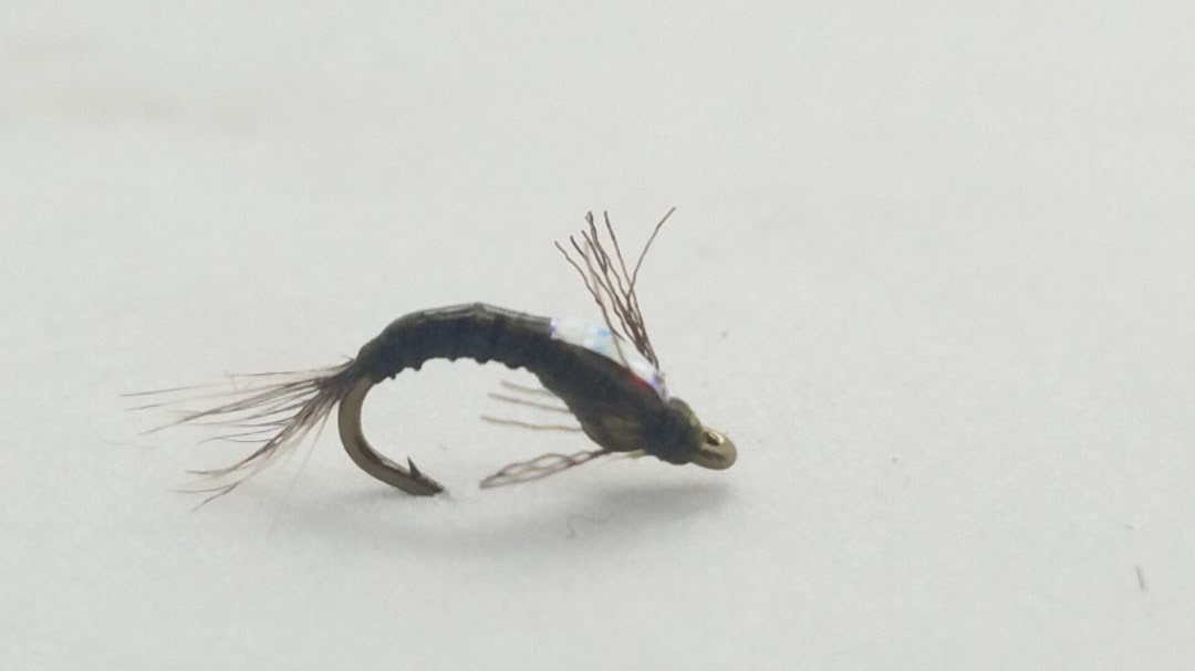 Shotglass Baetis