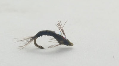 Shotglass Baetis