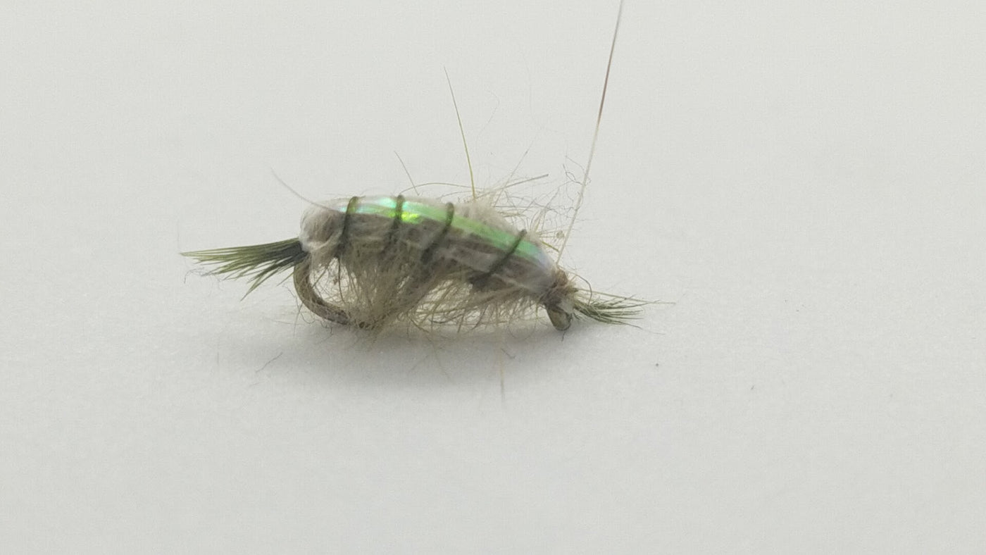 Scud Gray/Olive