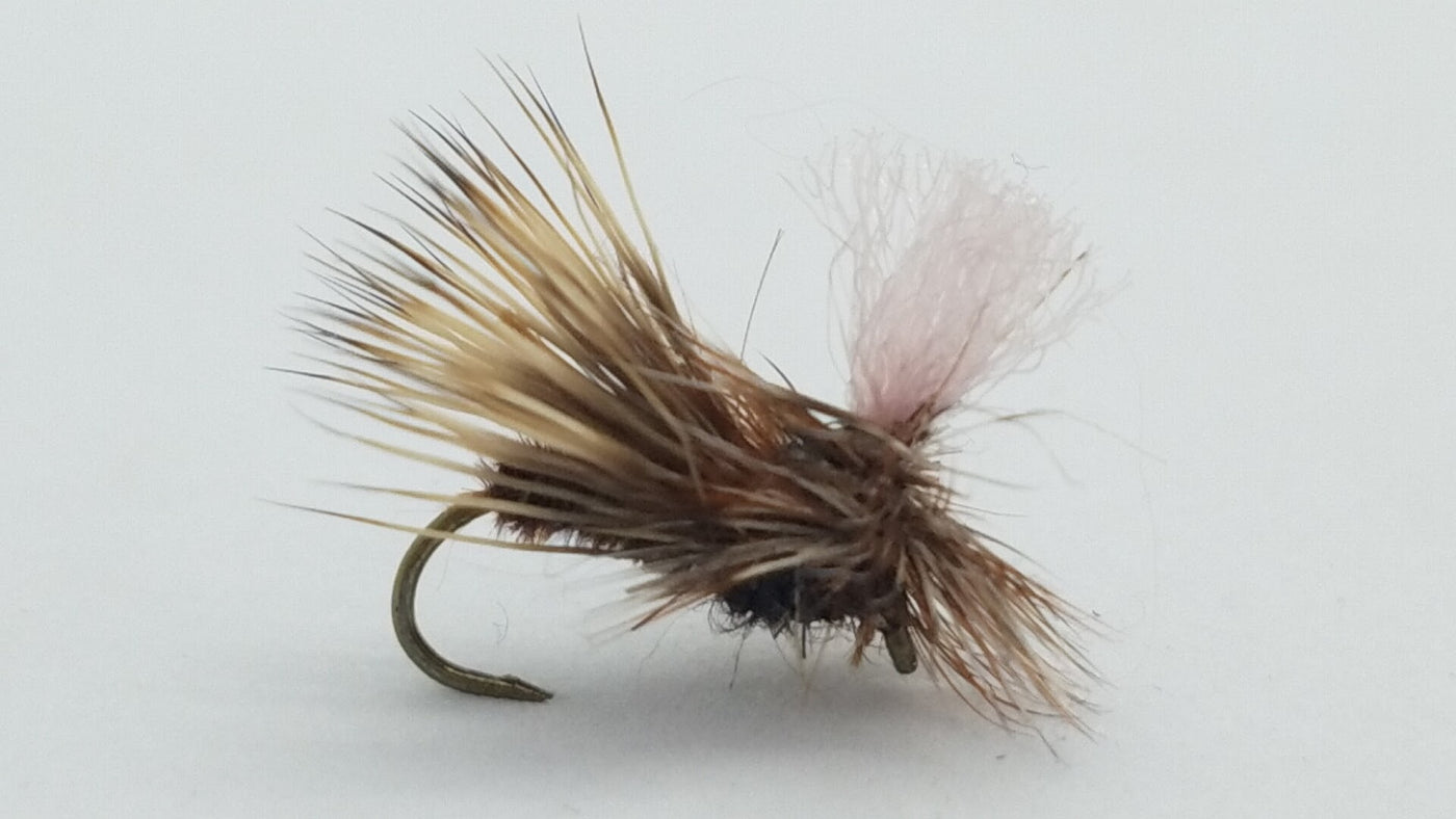 Parachute Caddis, Tan