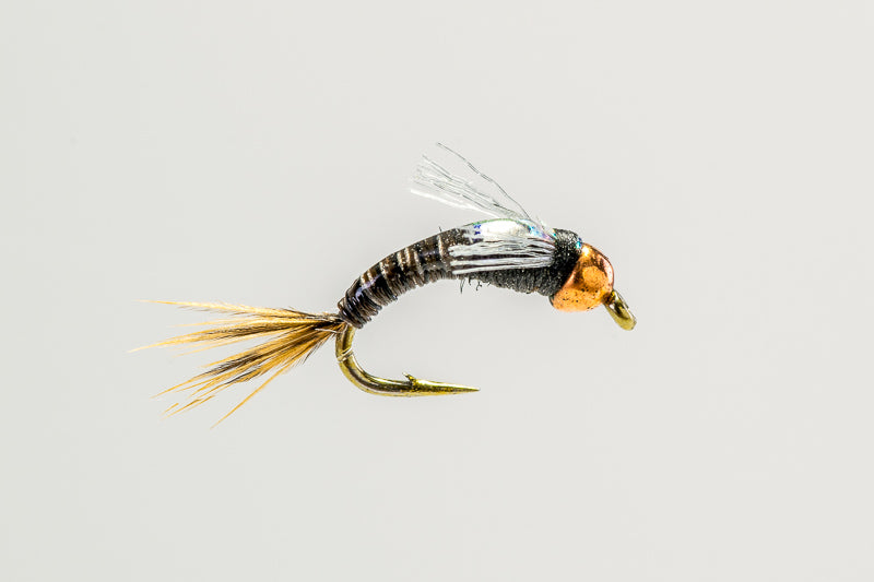 Tungsten Juju Baetis