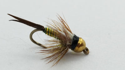 Tungsten Prince Nymph