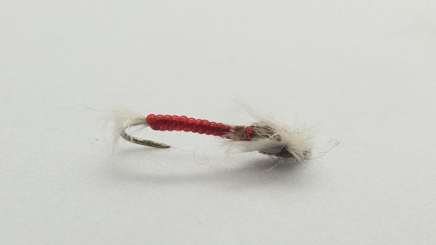 Stalcup’s Chironomid