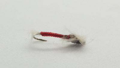 Stalcup’s Chironomid