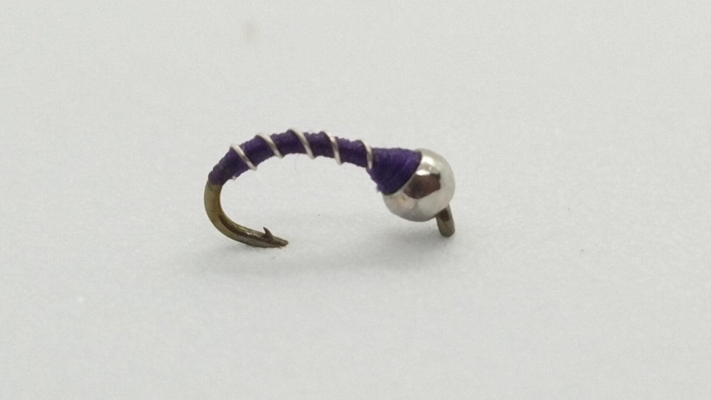 Zebra Midge