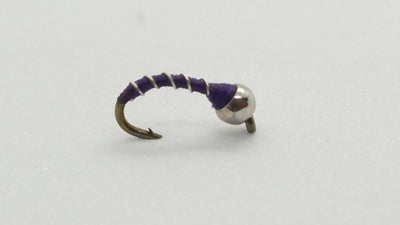 Zebra Midge
