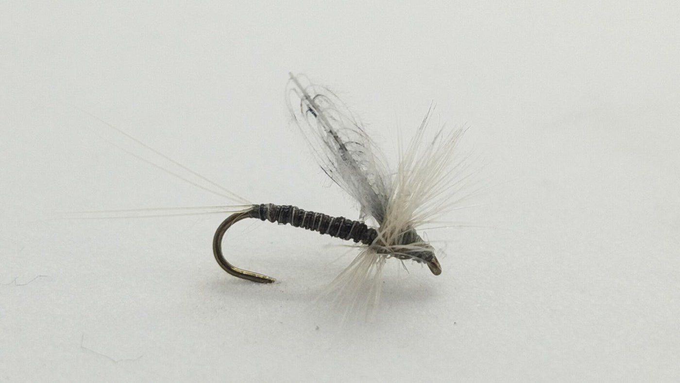 CDC Callibaetis Dun Size 16