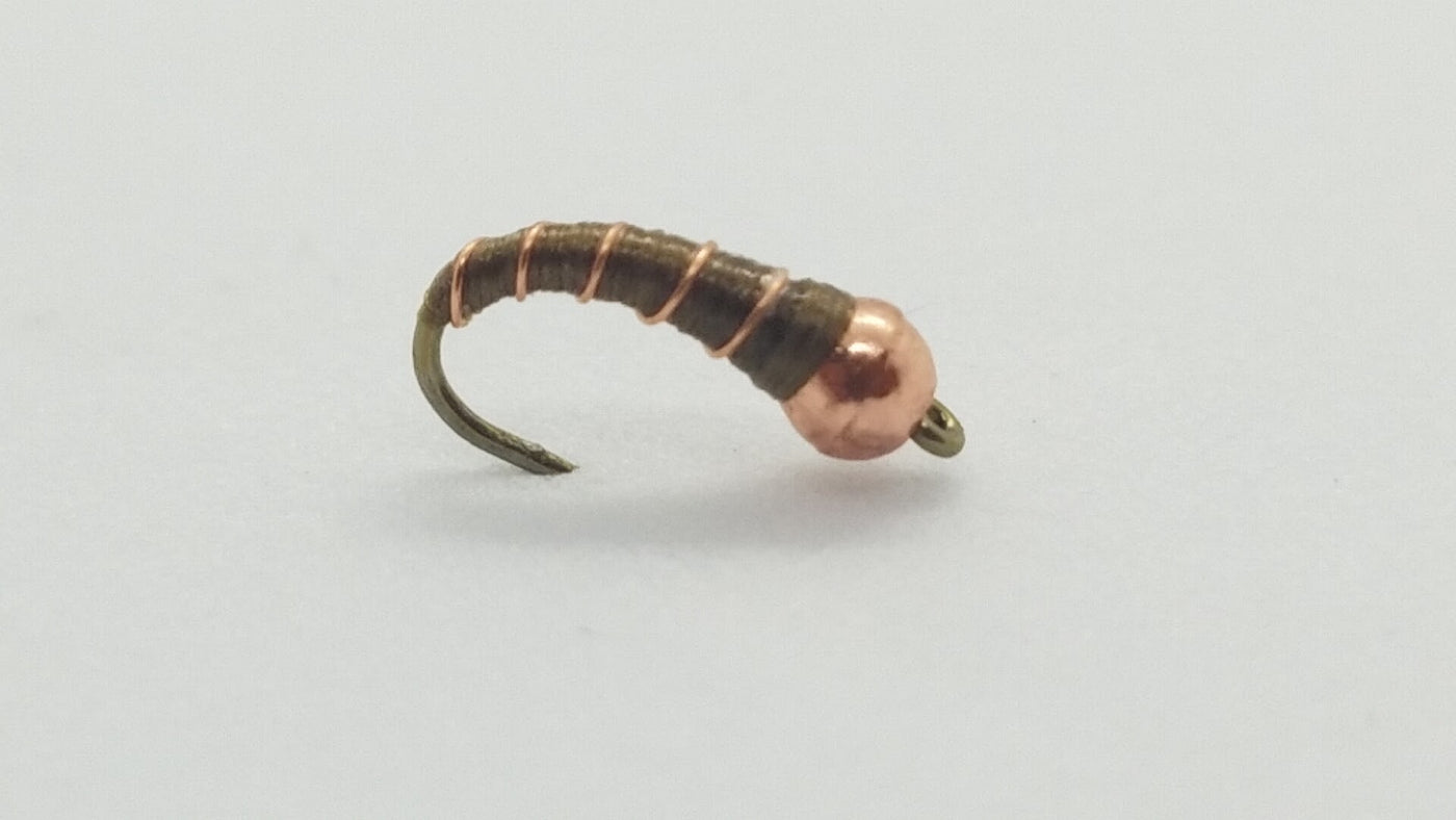Zebra Midge