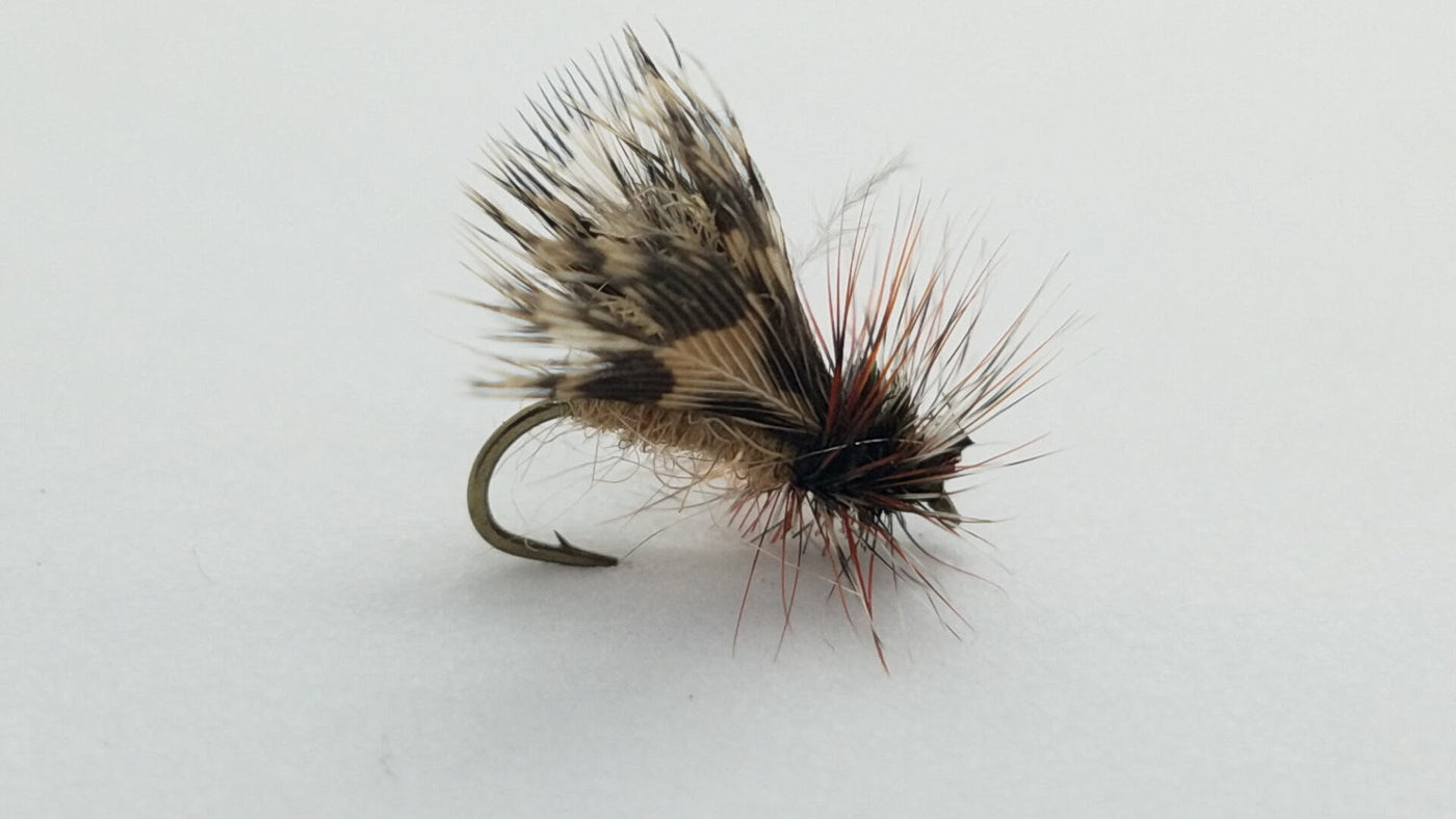 Spent Partridge Caddis, Sz 16