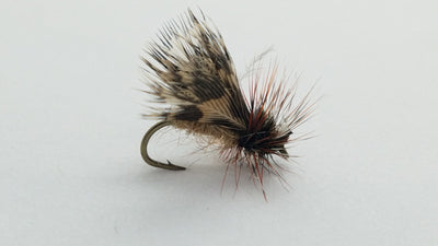 Spent Partridge Caddis, Sz 16