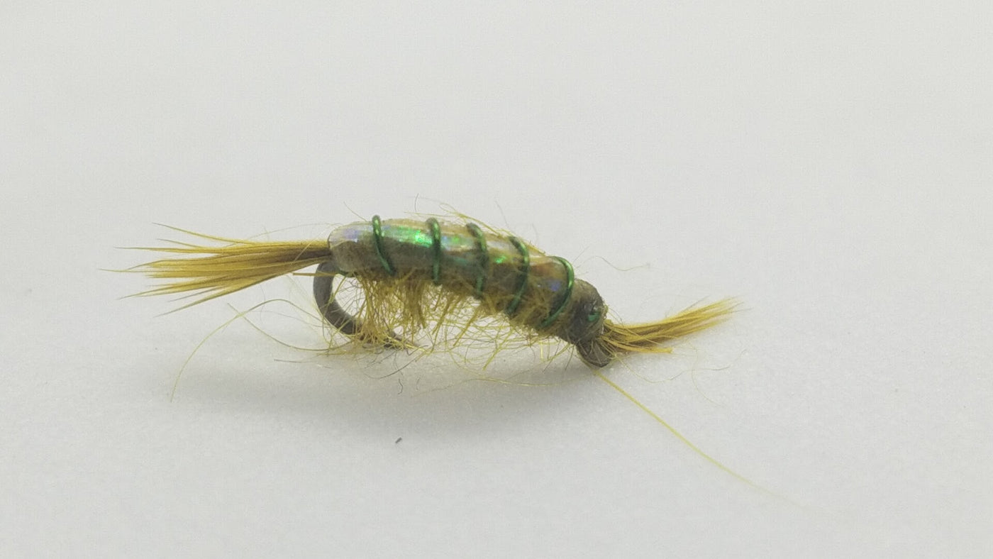 MFC Scud, Olive Size 16