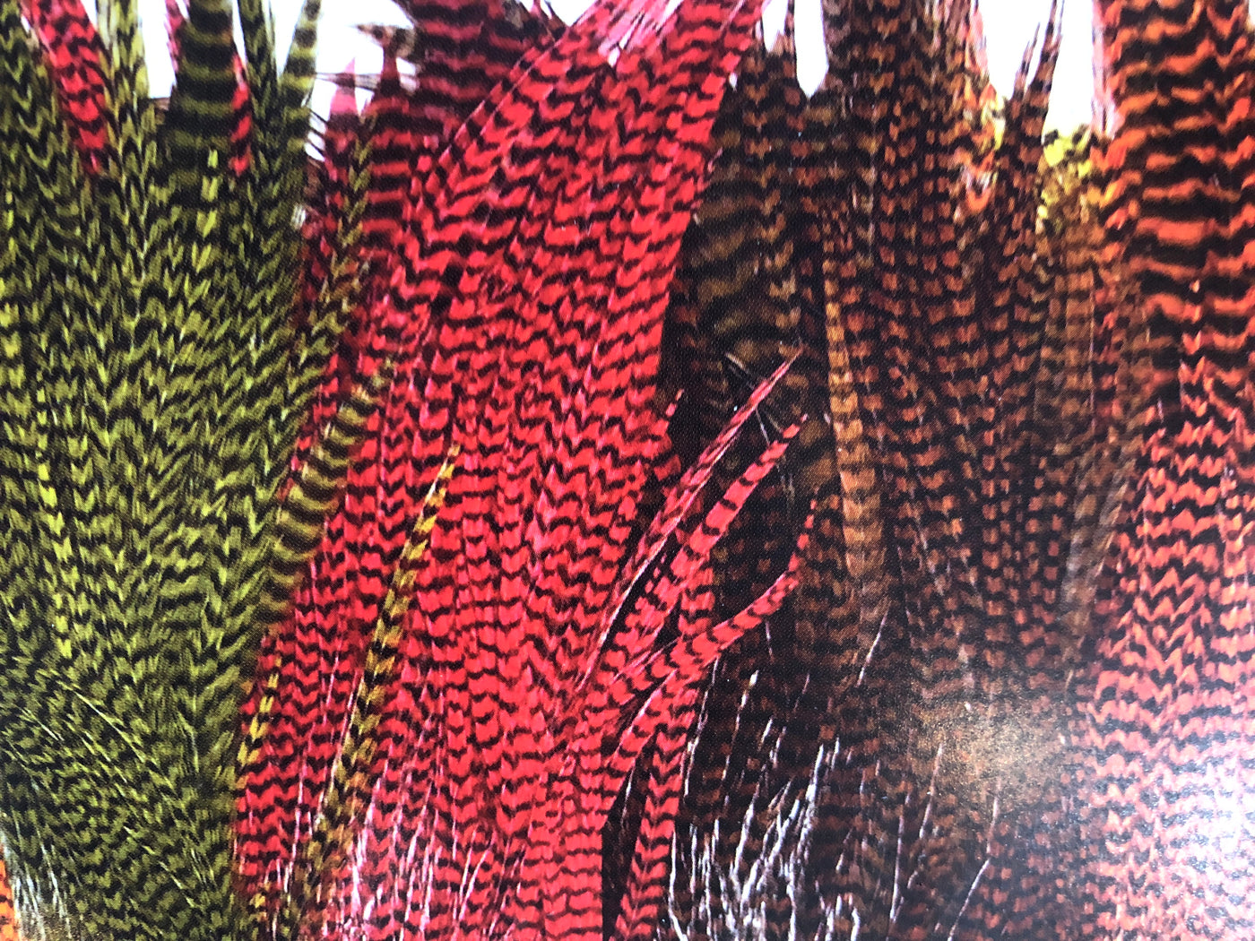 Ewing Grizzly Rooster Half Saddles