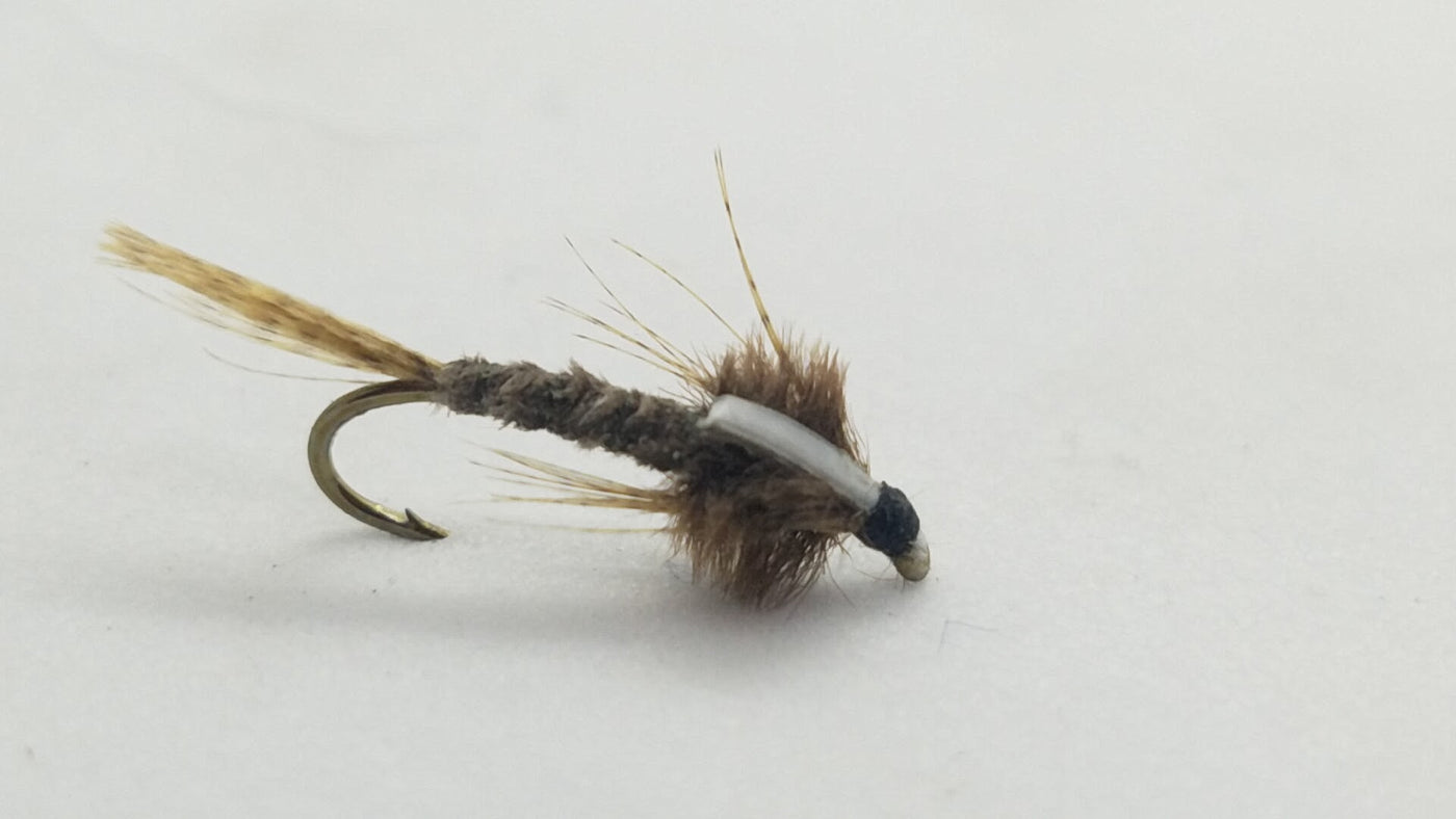 Bubba’s Callibaetis