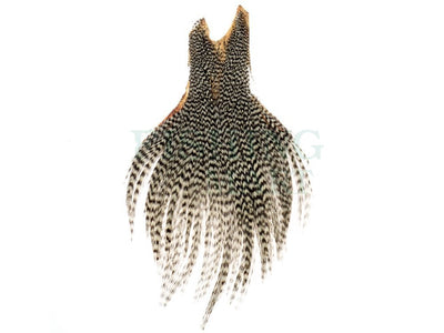 Ewing Neck Tip Dry Fly Hackle